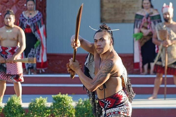 Te Puia Tour, Haka Show & Lunch Small Group Tour from Auckland - Photo 1 of 25